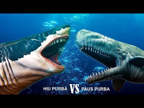 Video: Berapa besarkah ikan paus leviathan itu?