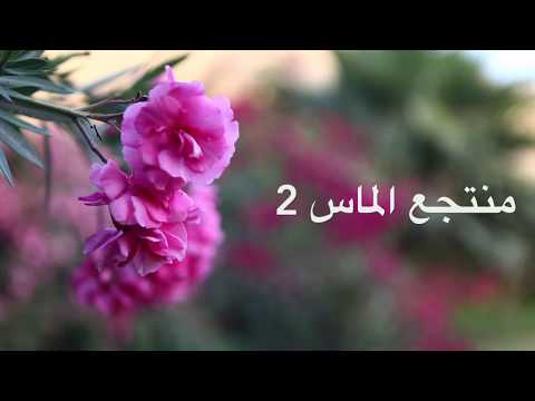 منتجع الماس 2