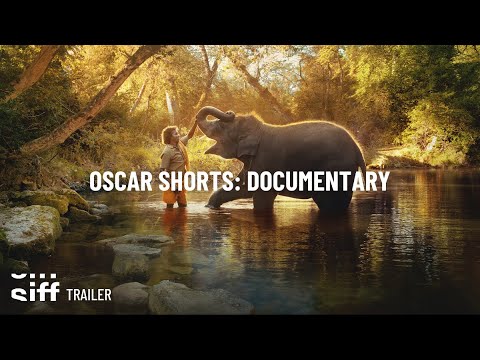 SIFF Cinema Trailer: 2023 Oscar Shorts Documentary