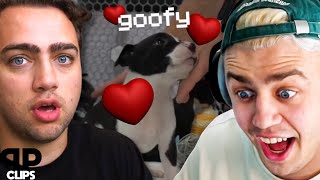 Papaplatte wird Vater Mizkif schenkt Kevin süßen Babyhund | Lustiger Talk mit Mizkif