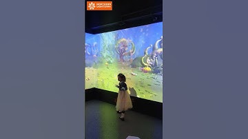 AR interactive painting projection painting interactive projection game draw alive wall projection