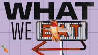 The Environmental Impact Of Our Food | What We Eat Documentary | Episode 4