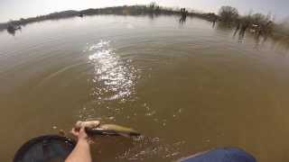 Shimano sustain 7/21gr casting TEST