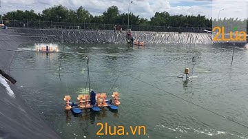 Máy quạt nước nuôi tôm | Quạt guồng nuôi tôm | Thiết bị thuỷ sản 2Lúa