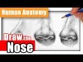 How to draw a nose the easy way  different angles