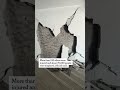 Deadly 7.8 Quake Hits the Philippines