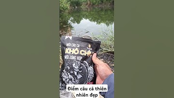 Điểm câu cá rô phi thiên nhiên đẹp ở cần Giuộc Long An
