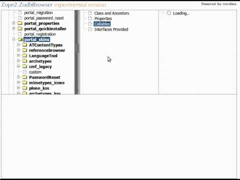 collective.zodbbrowser (former Zope2.ZodbBrowser Demo)