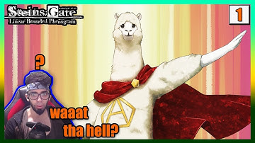 THINGS I NEVER EXPECTED TO SEE | Steins;Gate Linear Bounded Phenogram Gameplay Playthrough| Part 1