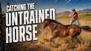Only One Way To Catch This Wild Ranch Horse
