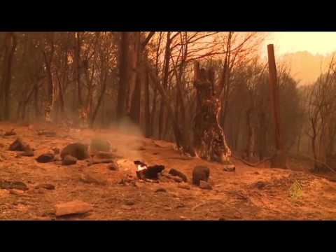 النشرة الجوية الأولى 2017/6/19