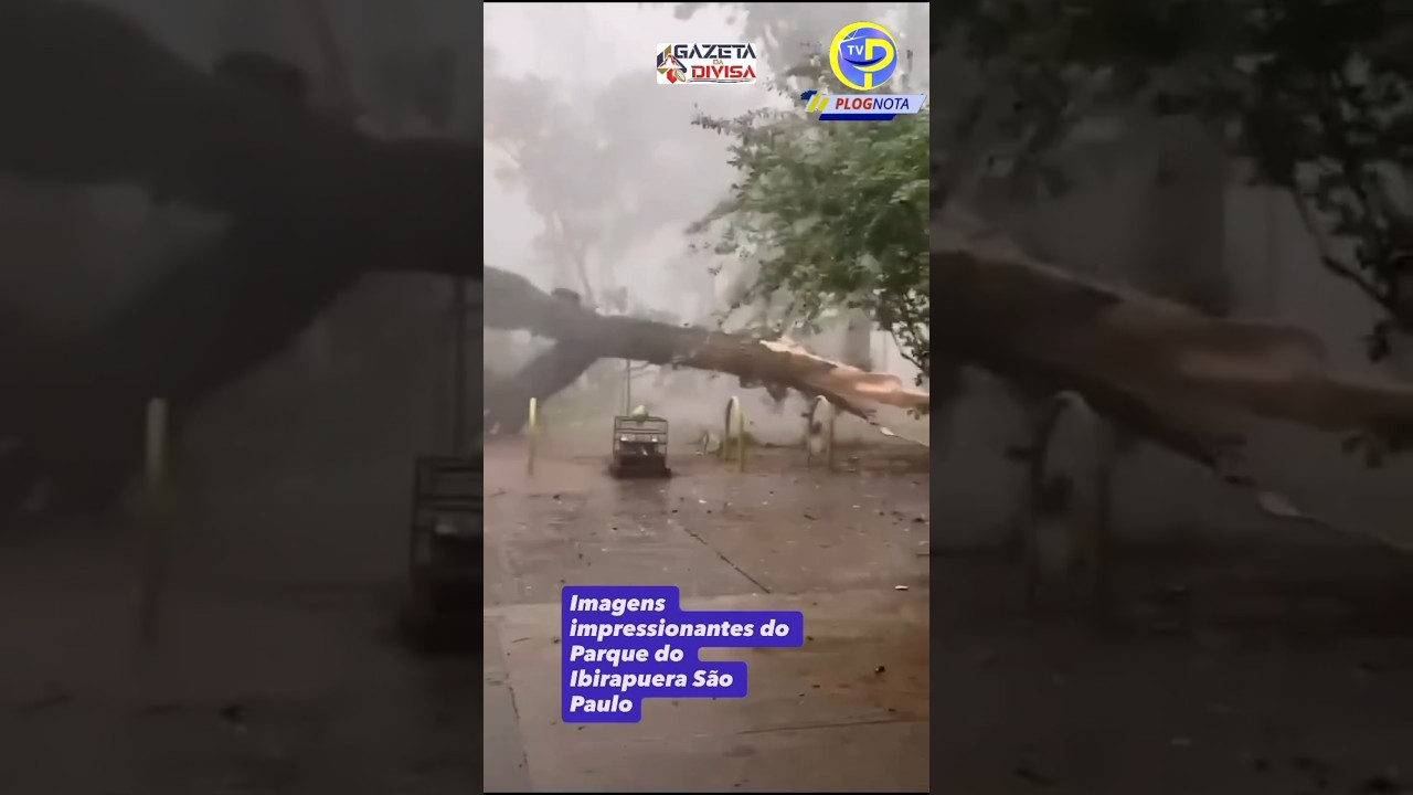 As imagens impressionam 09/12/2025 / Ciclone extratropical.  #alerta #chuvas #clima #noticias