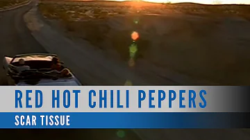 Red Hot Chili Peppers - Scar Tissue (Official Music Video)