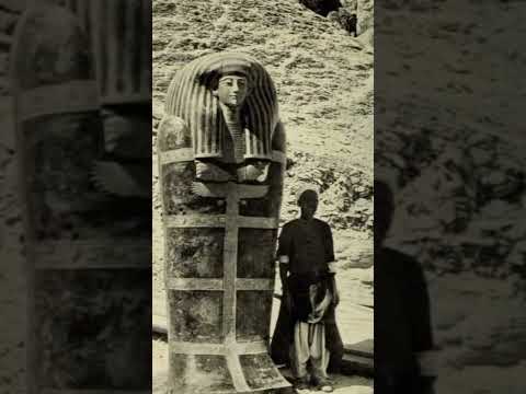 لحظة استخراج تابوت يويا Shorts