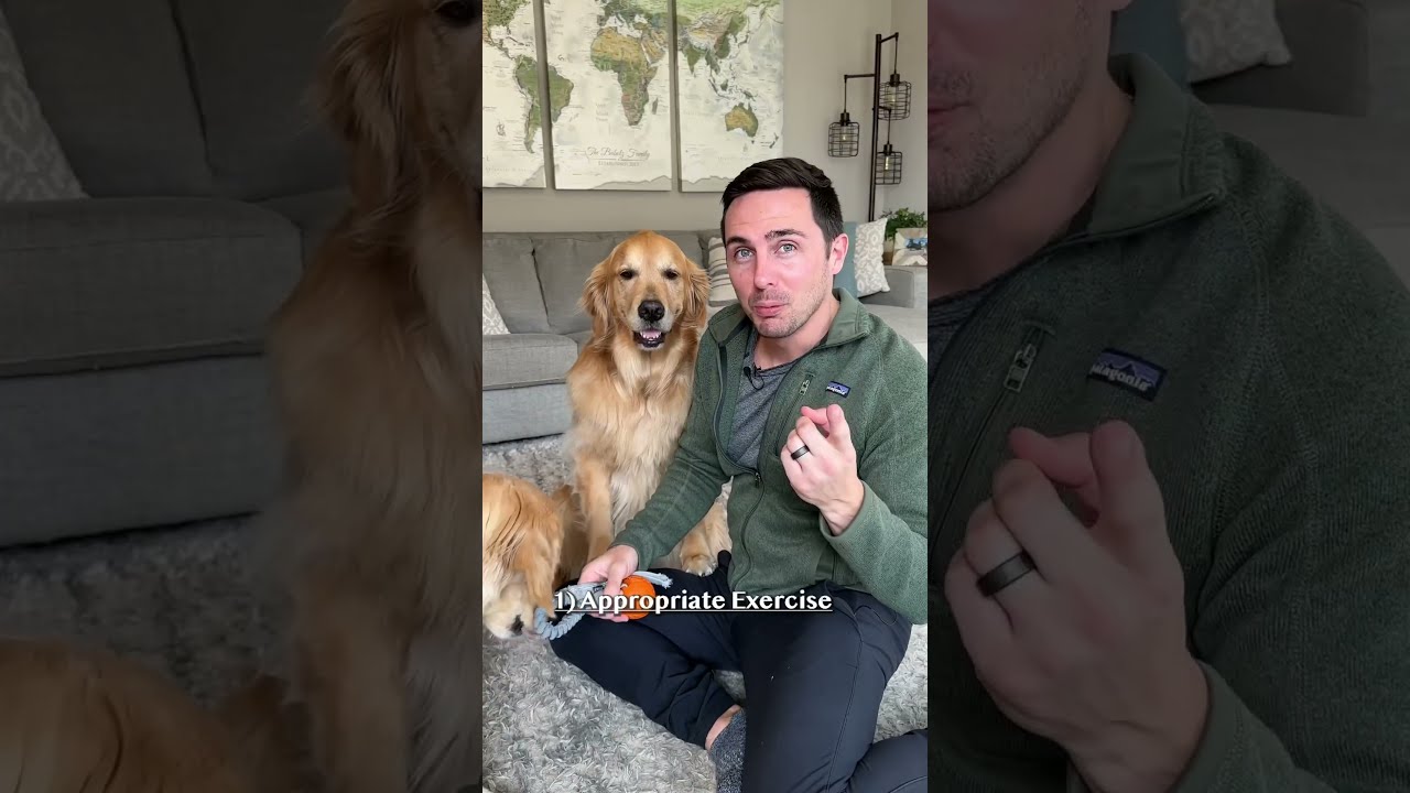 The Secret To Stopping Puppy Biting 
