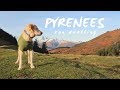 We made it to the Pyrenees!