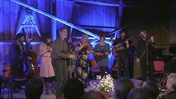 Blågras 2015  "Lazy John "