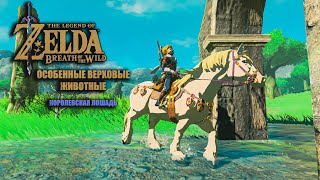 The Legend Of Zelda BOTW: Особые верховые животные 1 часть