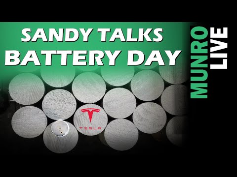 Sandy is Thrilled about Tesla's Battery Day & Begins Battery Mock-up