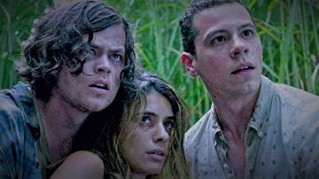 Siblings get lost in a Field of Tall Grass, but there is no way out