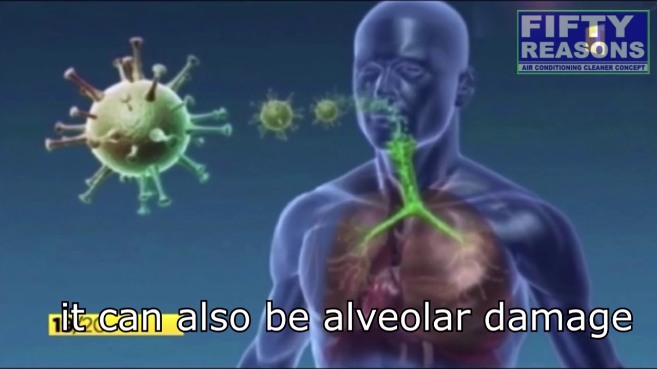 Risks of the bad maintenance of air conditioners ( English subtitles