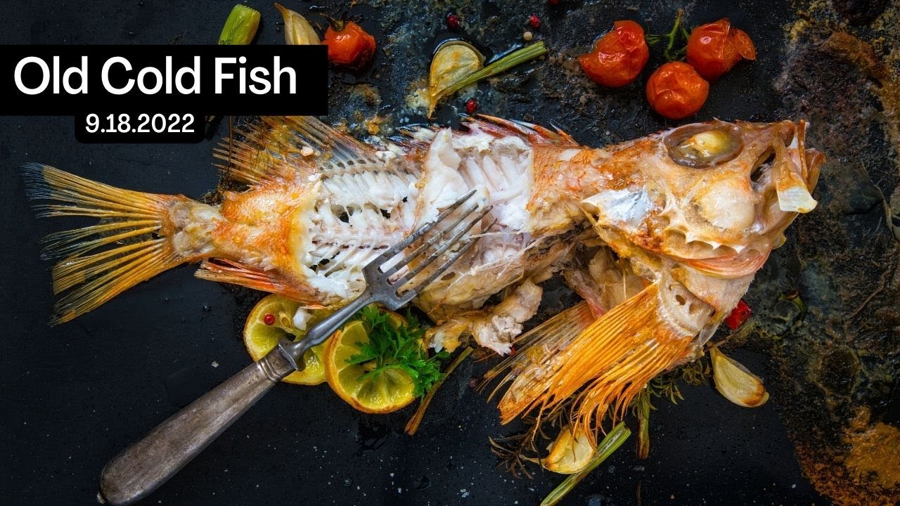 Old Cold Fish - YouTube