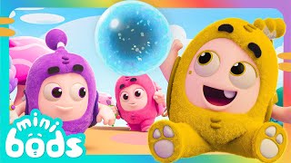 Bubbles aime les bulles | Minibods | Baby Oddbods Français | Dessin Animé en Français