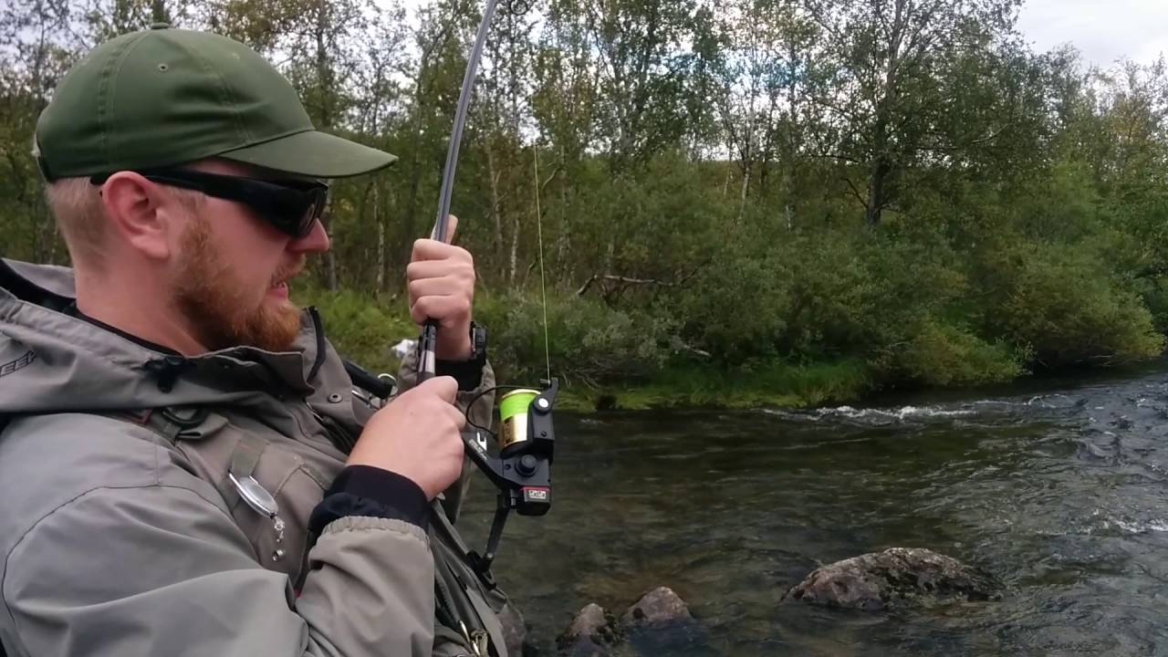 Salmon fishing in upper Muonio - Live Daiwa SS Tournament drag test 