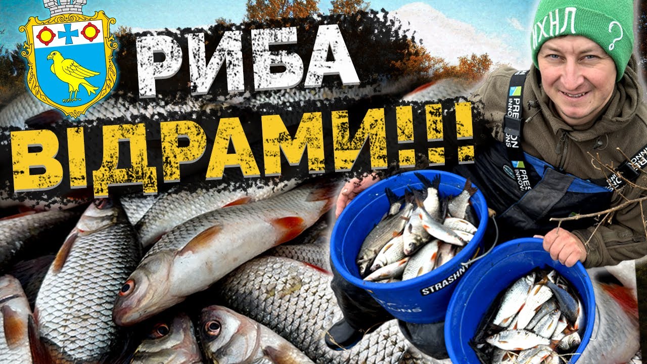 Риба ВІДРАМИ! Фідер на БУРШТИНІ! Годівниця не ТОНЕ!