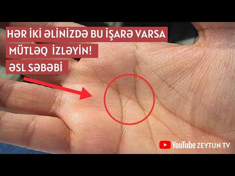 Video: Bu 5 Beyin Faktı Həyatınızı Dəyişdirəcək