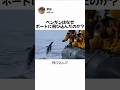 ペンギンはなぜボートに飛び込んだのか？
