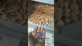 Almond and shell separating machine