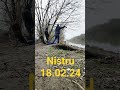 Nistru 18.02.24 #рыбалка #ловля #сом #донки #сазан  #сибирский #лучшая #moldova #chișinău #молдова