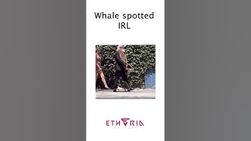 WHALE SPOTTED ! : ETHERIA RESTART
