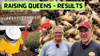 1st Graft Queen Bee Acceptance. Success or Failure? by brucesbees 2,589 views 2 weeks ago 12 minutes