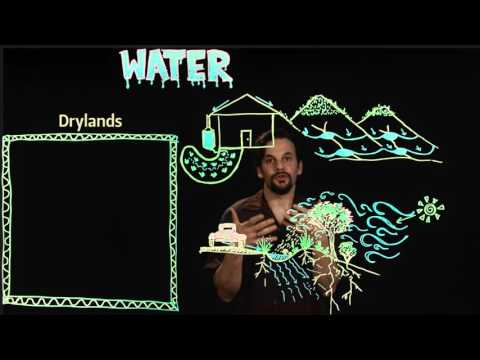 Permaculture Design for Water