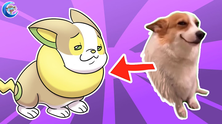 All the Meme Dogs but They Are Dog Pokémon | Animation