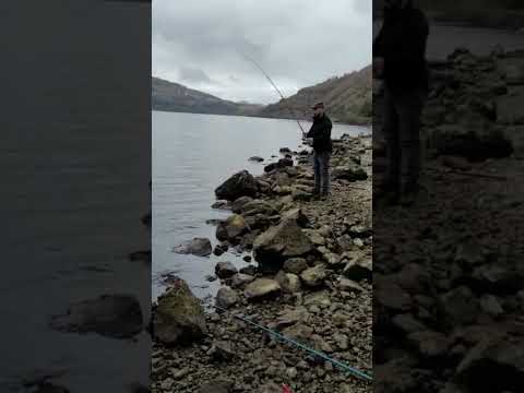 Şubat Ayında Somon Avı Fishing Fish Doğa Keşfet