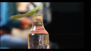 Celebrating Lee Hoibys Centenary On A Saturday Afternoon In Turin