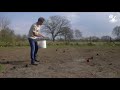 Inzaaien Achterhoek streektuinmengsel door Jaap Graveland