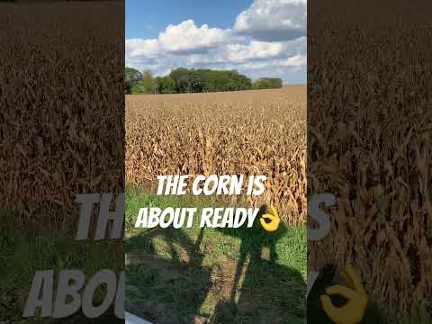 September 25 2025 Farmlife Organicfarming Organic 