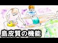島皮質の高次脳機能障害　神経心理学　最新の脳科学　霊体離脱　共感・心の脳科学　doppelganger　自己像幻視　体外体験　heautoscopy　側頭葉てんかん　高次脳機能障害　片頭痛　医学