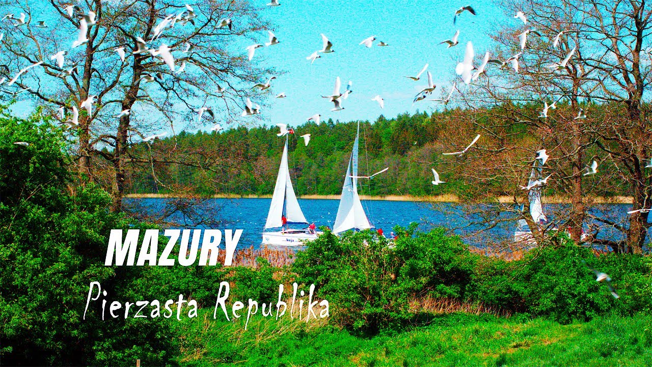 Mazury - pierzasta republika