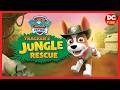 PAW Patrol: Tracker's Jungle Rescue - The legendary golden banana! #nickjr