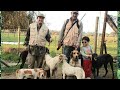 Nuevo día de CACERÍA de CONEJOS [Con perros BEAGLES, GALGOS, CONEJEROS ]