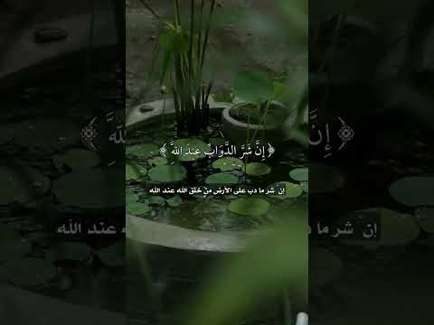 ولا تكونوا كالذين قالوا سمعنا وهم لا يسمعون