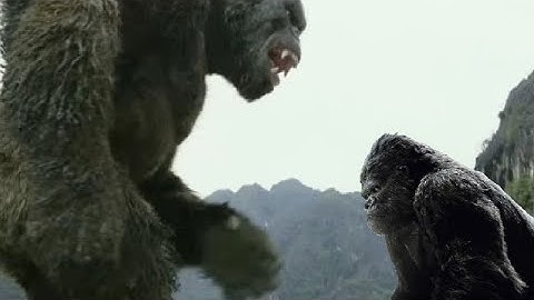 King Kong (2005) vs Kong ( 2017)