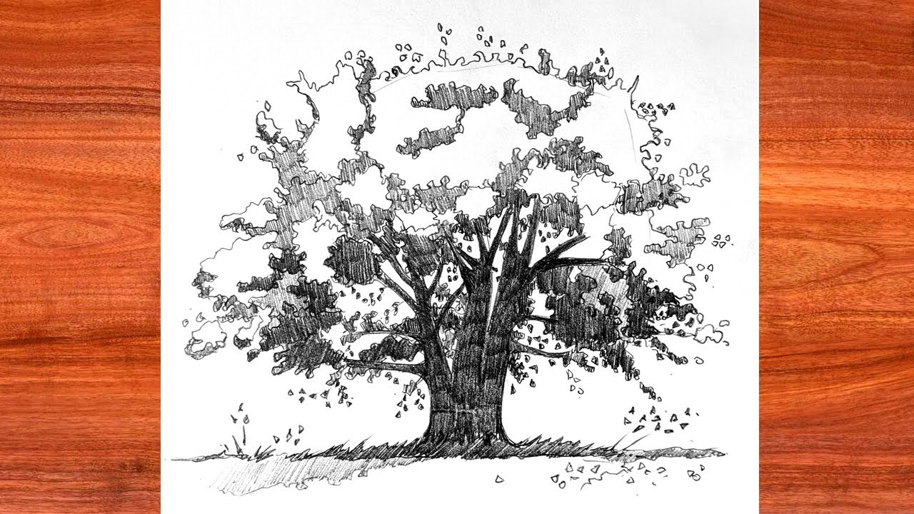 Single Drawing Tree on Paper Stock Illustration  Illustration of drawing  daylight 124039631