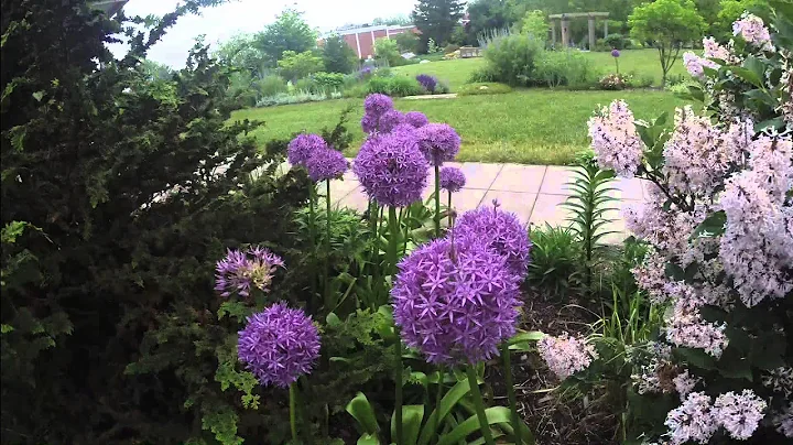 Time-lapse: Hahn Horticulture Garden blooms before...
