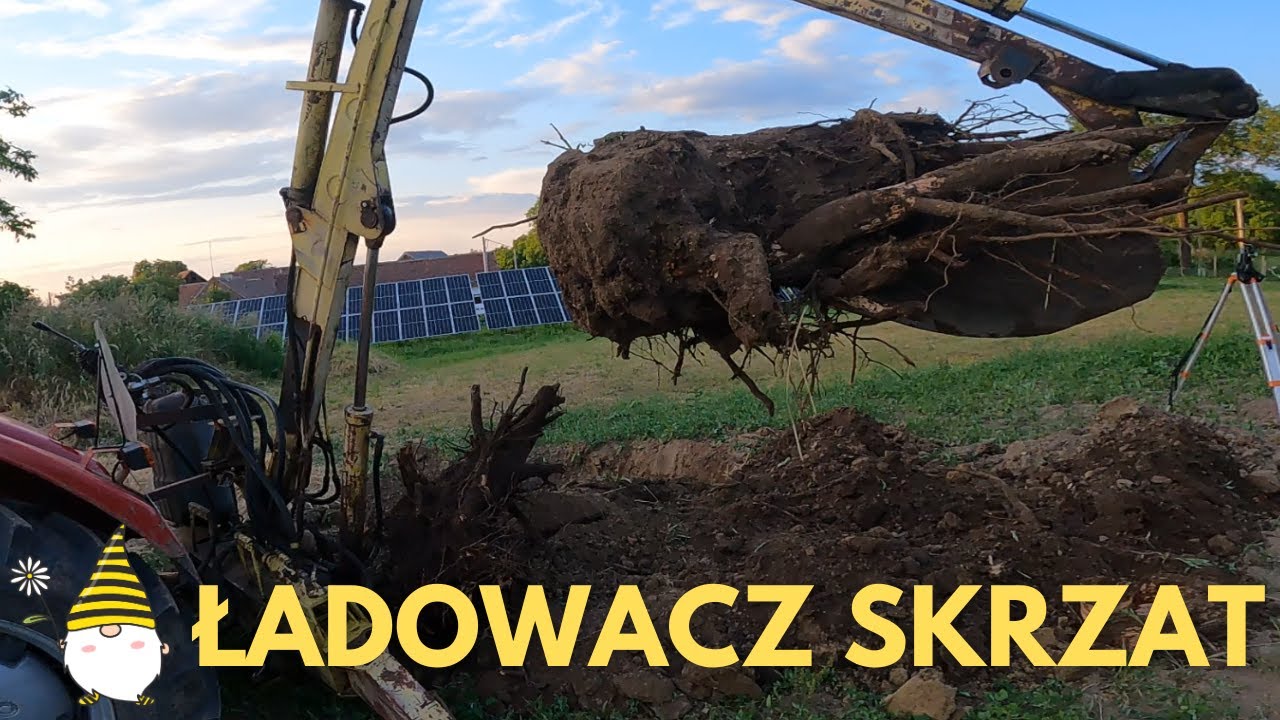 ŁADOWACZ SKRZAT wygrzebał pnie 🪵. Porządki na działce.🚜